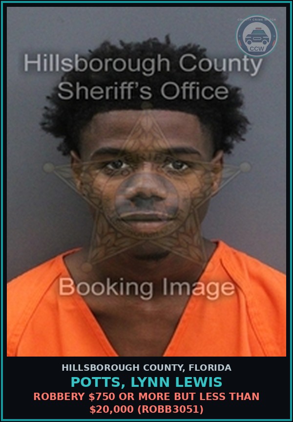 Booking mugshot of POTTS, LYNN LEWIS in Hillsborough County