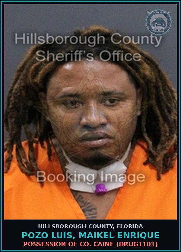 Booking mugshot of POZO LUIS, MAIKEL ENRIQUE in Hillsborough County