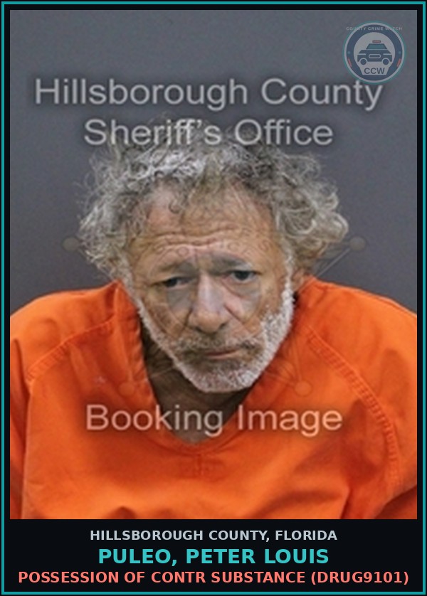 Booking mugshot of PULEO, PETER LOUIS in Hillsborough County