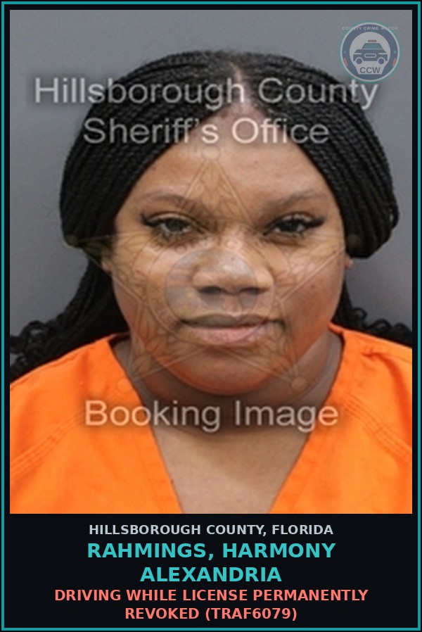 Booking mugshot of RAHMINGS, HARMONY ALEXANDRIA in Hillsborough County