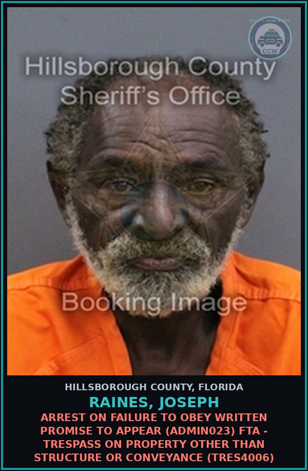 Booking mugshot of RAINES, JOSEPH in Hillsborough County