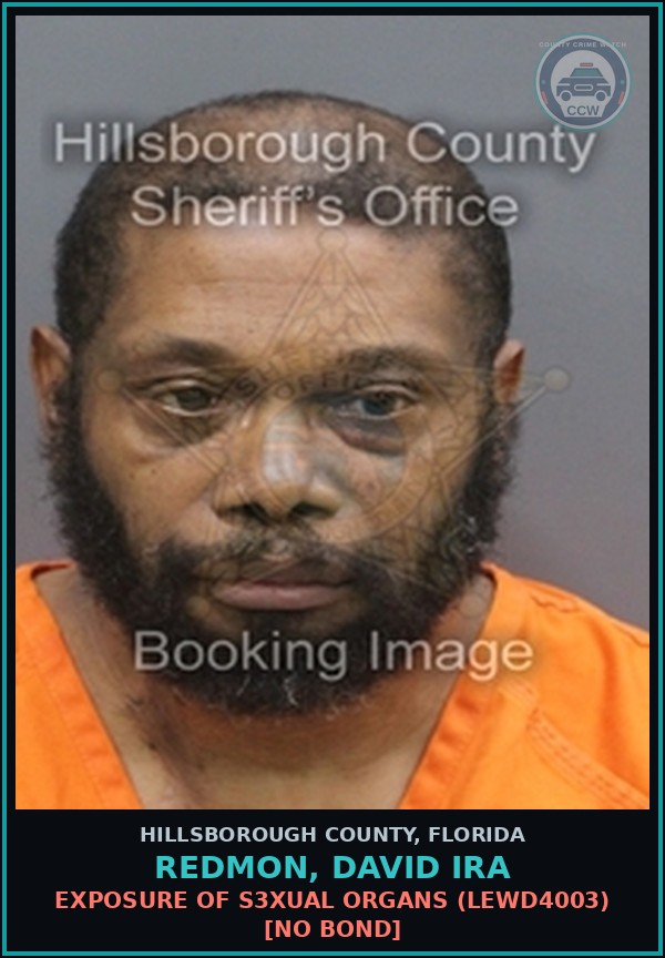 Booking mugshot of REDMON, DAVID IRA in Hillsborough County