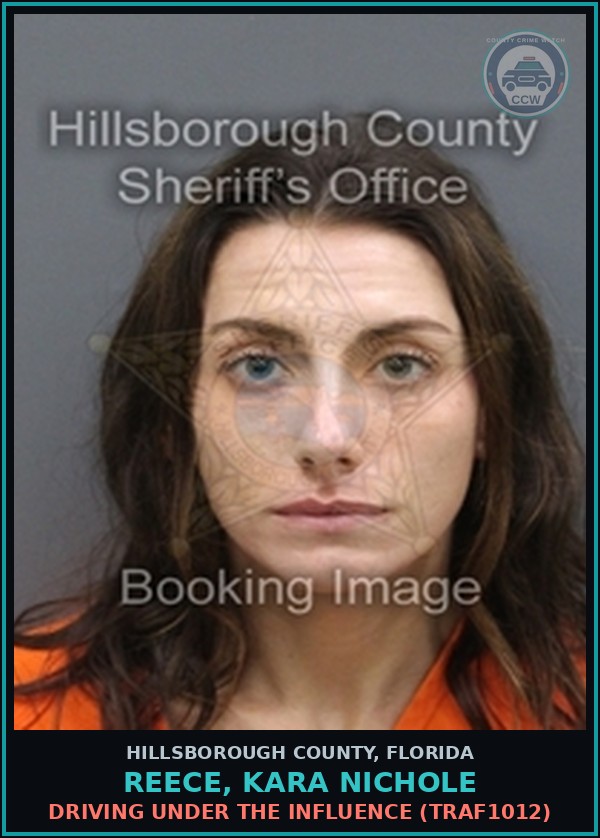 Booking mugshot of REECE, KARA NICHOLE in Hillsborough County