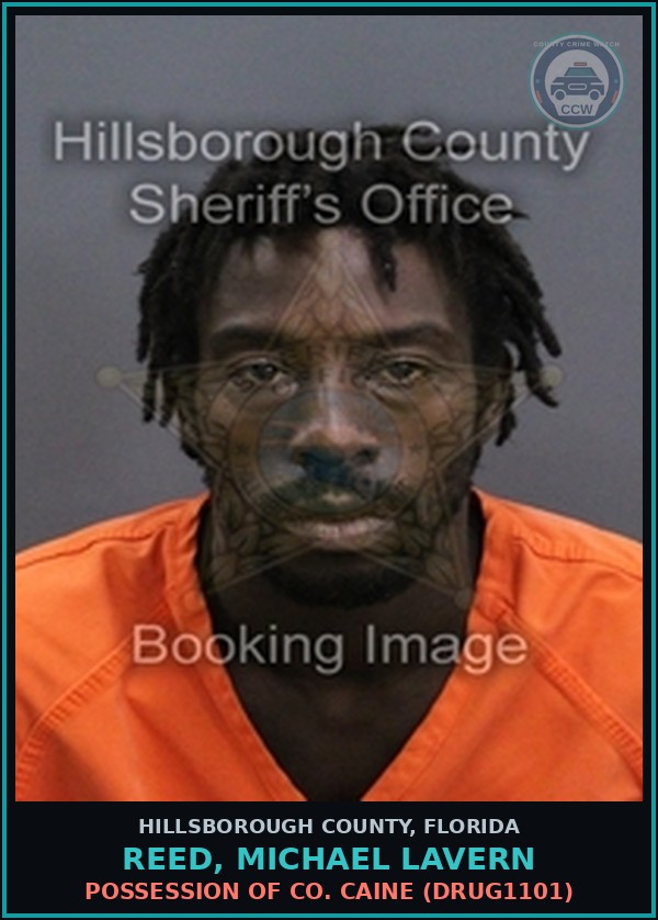 Booking mugshot of REED, MICHAEL LAVERN in Hillsborough County