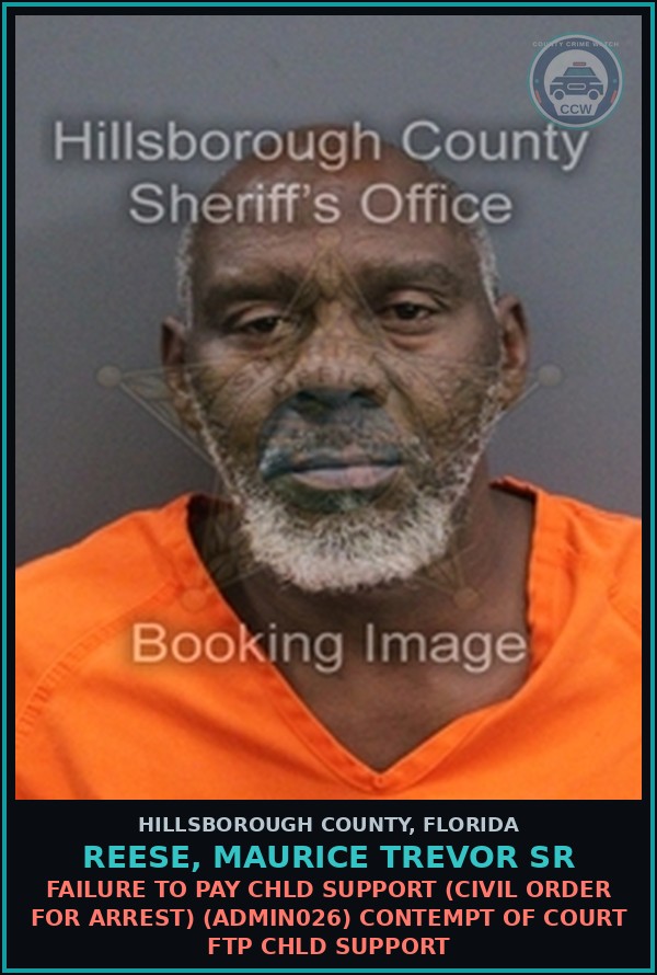 Booking mugshot of REESE, MAURICE TREVOR SR in Hillsborough County