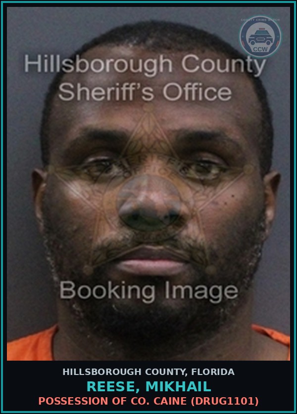 Booking mugshot of REESE, MIKHAIL in Hillsborough County