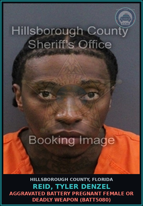 Booking mugshot of REID, TYLER DENZEL in Hillsborough County