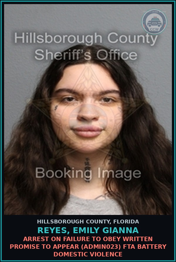 Booking mugshot of REYES, EMILY GIANNA in Hillsborough County