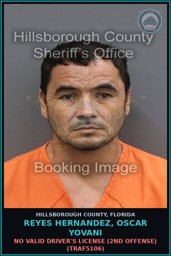 Booking mugshot of REYES HERNANDEZ, OSCAR YOVANI in Hillsborough County