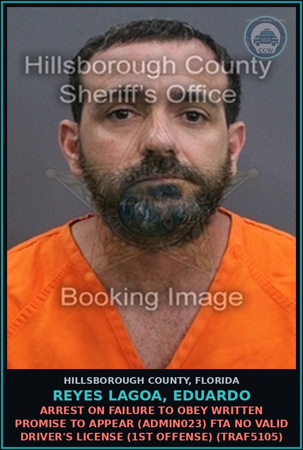 Booking mugshot of REYES LAGOA, EDUARDO in Hillsborough County