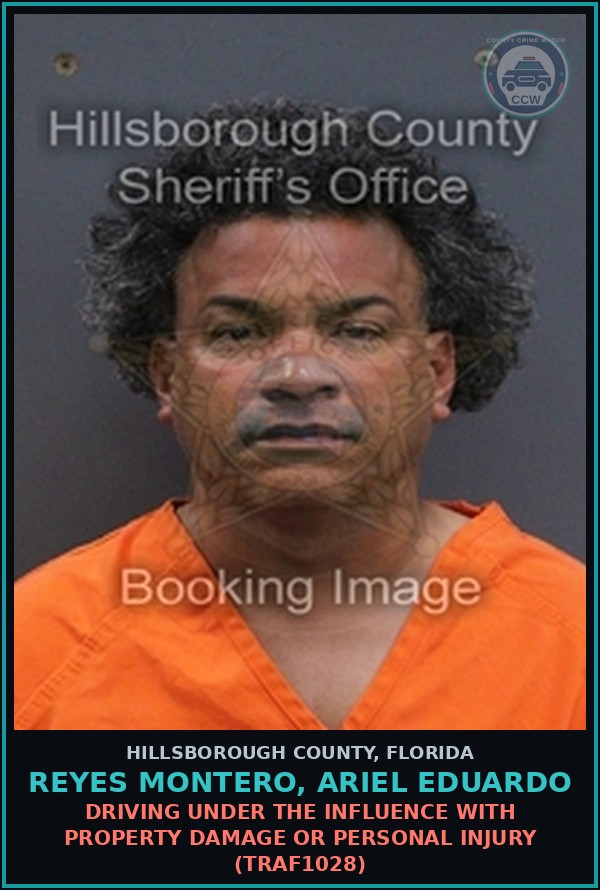 Booking mugshot of REYES MONTERO, ARIEL EDUARDO in Hillsborough County