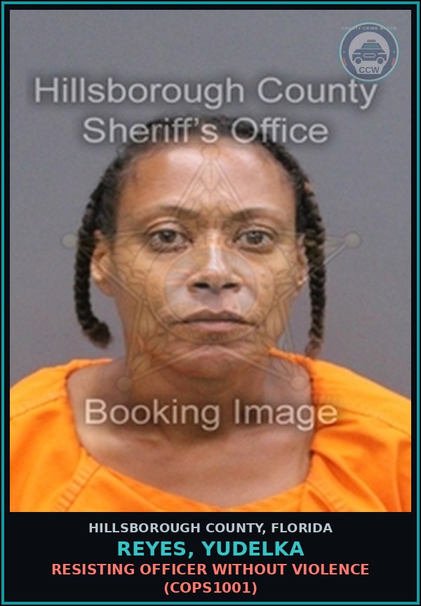 Booking mugshot of REYES, YUDELKA in Hillsborough County