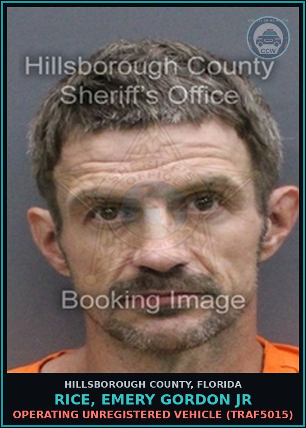 Booking mugshot of RICE, EMERY GORDON JR in Hillsborough County
