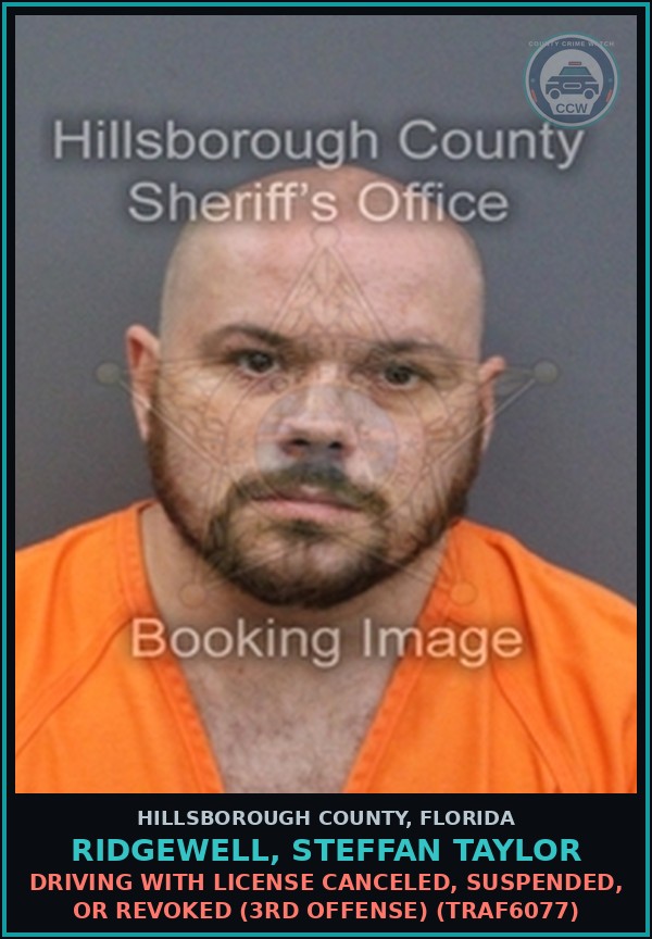 Booking mugshot of RIDGEWELL, STEFFAN TAYLOR in Hillsborough County