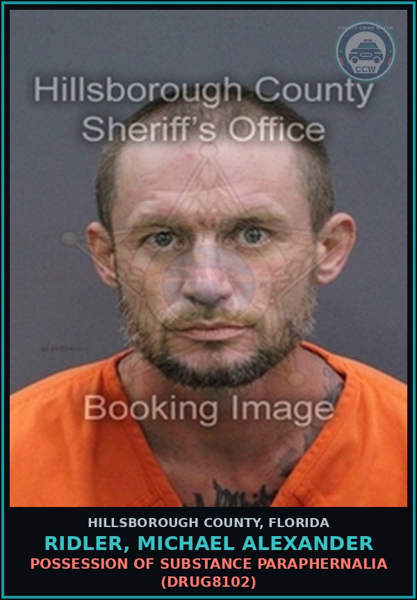 Booking mugshot of RIDLER, MICHAEL ALEXANDER in Hillsborough County