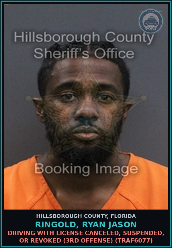 Booking mugshot of RINGOLD, RYAN JASON in Hillsborough County