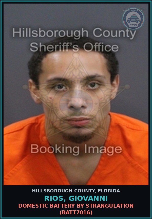 Booking mugshot of RIOS, GIOVANNI in Hillsborough County