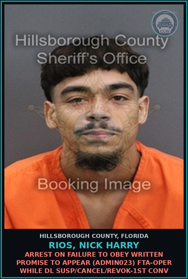 Booking mugshot of RIOS, NICK HARRY in Hillsborough County
