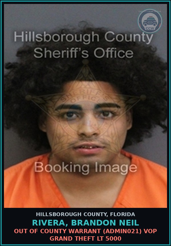 Booking mugshot of RIVERA, BRANDON NEIL in Hillsborough County