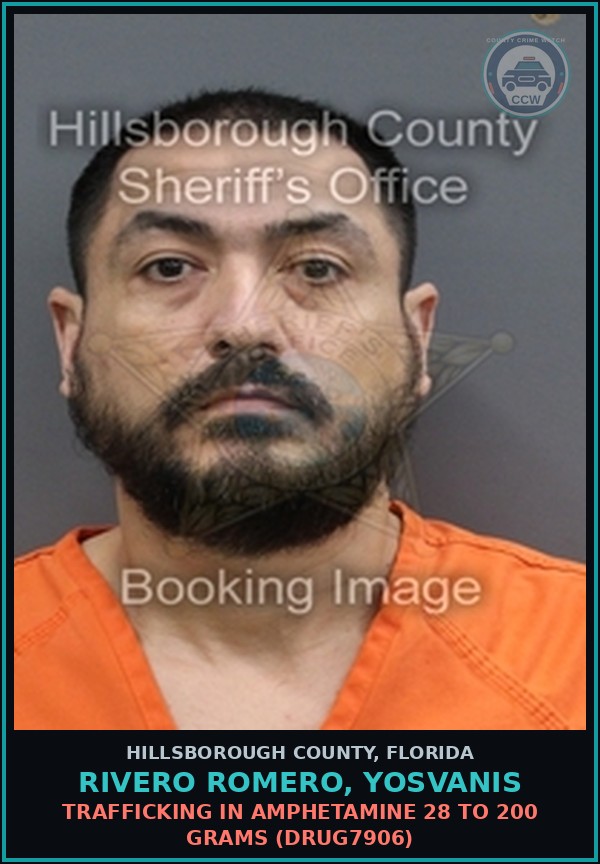 Booking mugshot of RIVERO ROMERO, YOSVANIS in Hillsborough County