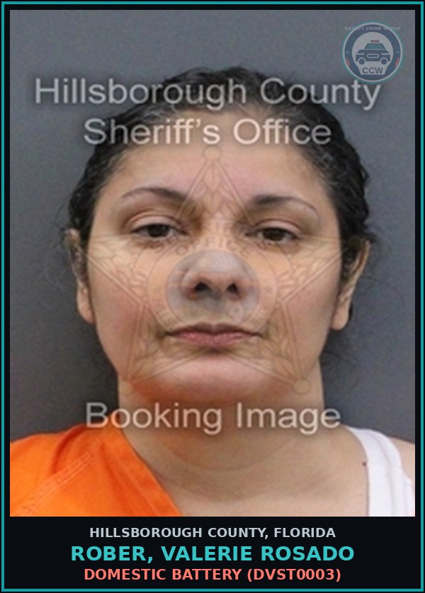 Booking mugshot of ROBER, VALERIE ROSADO in Hillsborough County