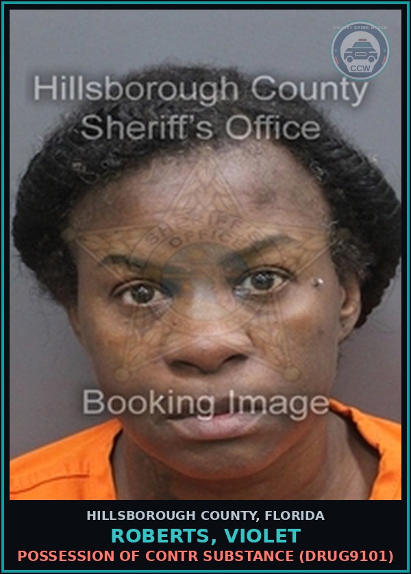 Booking mugshot of ROBERTS, VIOLET in Hillsborough County