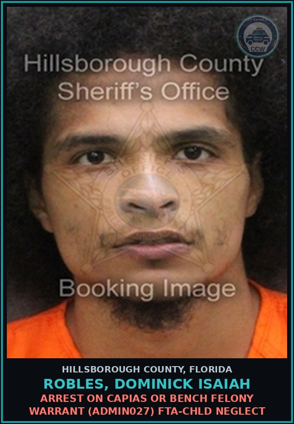 Booking mugshot of ROBLES, DOMINICK ISAIAH in Hillsborough County