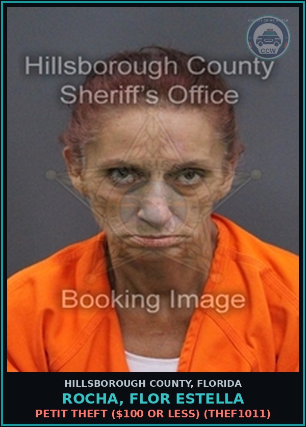 Booking mugshot of ROCHA, FLOR ESTELLA in Hillsborough County