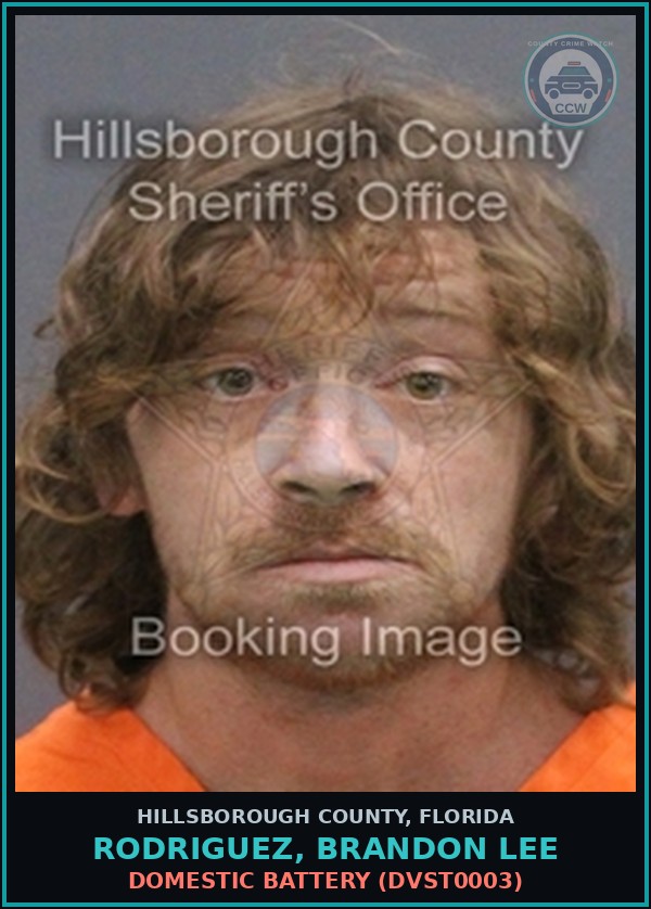 Booking mugshot of RODRIGUEZ, BRANDON LEE in Hillsborough County