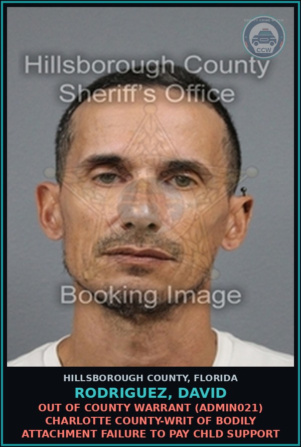 Booking mugshot of RODRIGUEZ, DAVID in Hillsborough County