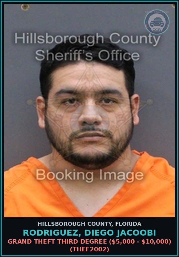 Booking mugshot of RODRIGUEZ, DIEGO JACOOBI in Hillsborough County