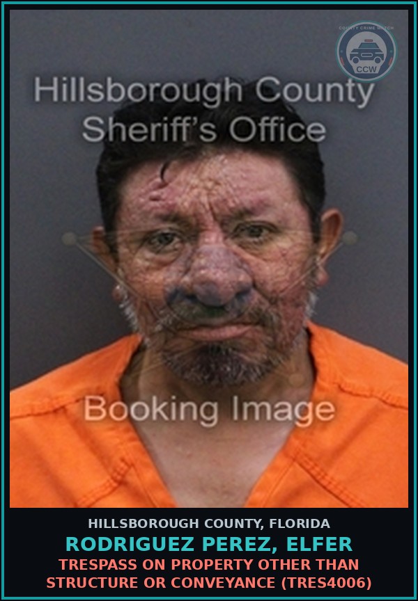 Booking mugshot of RODRIGUEZ PEREZ, ELFER in Hillsborough County