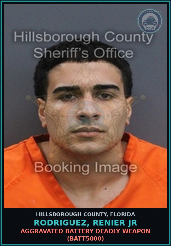 Booking mugshot of RODRIGUEZ, RENIER JR in Hillsborough County