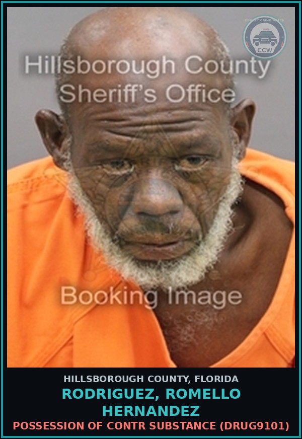 Booking mugshot of RODRIGUEZ, ROMELLO HERNANDEZ in Hillsborough County