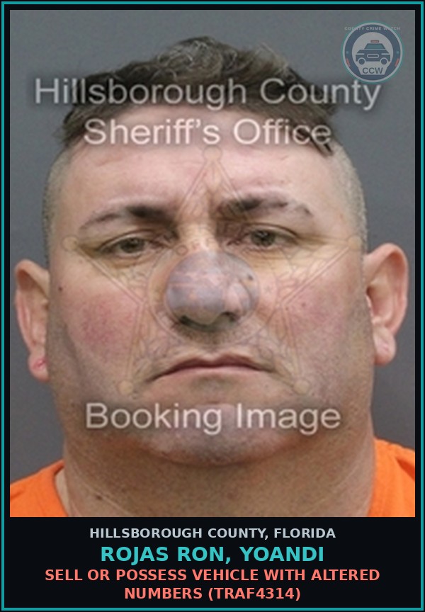 Booking mugshot of ROJAS RON, YOANDI in Hillsborough County