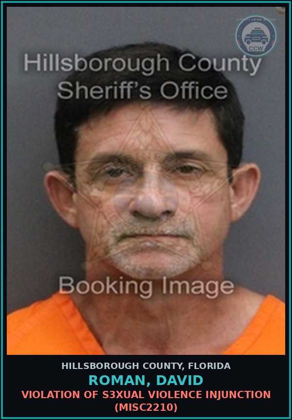 Booking mugshot of ROMAN, DAVID in Hillsborough County