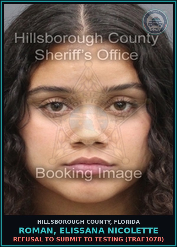 Booking mugshot of ROMAN, ELISSANA NICOLETTE in Hillsborough County