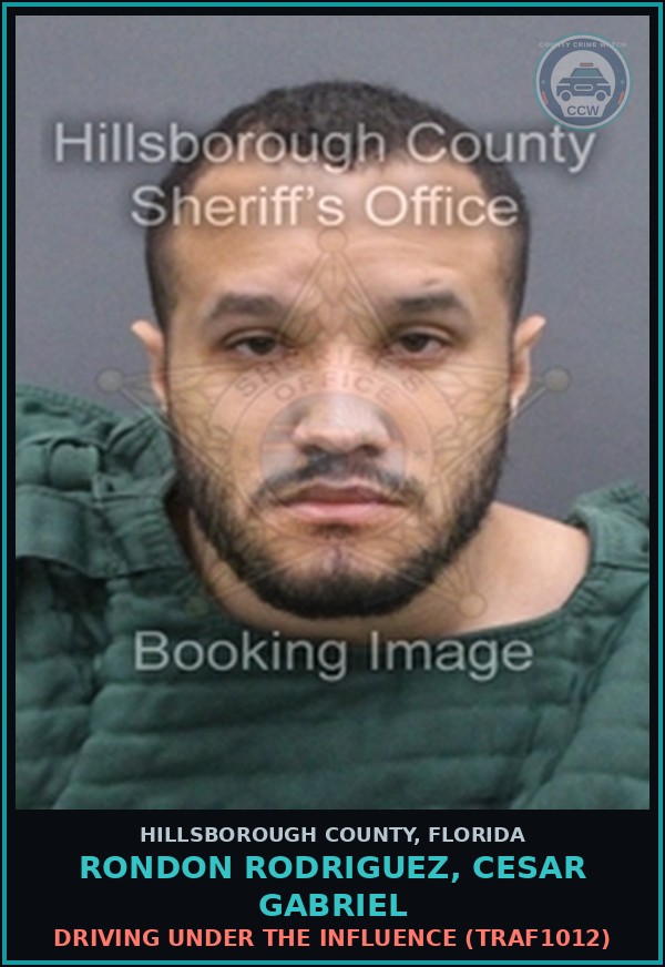 Booking mugshot of RONDON RODRIGUEZ, CESAR GABRIEL in Hillsborough County