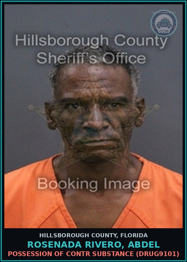 Booking mugshot of ROSENADA RIVERO, ABDEL in Hillsborough County
