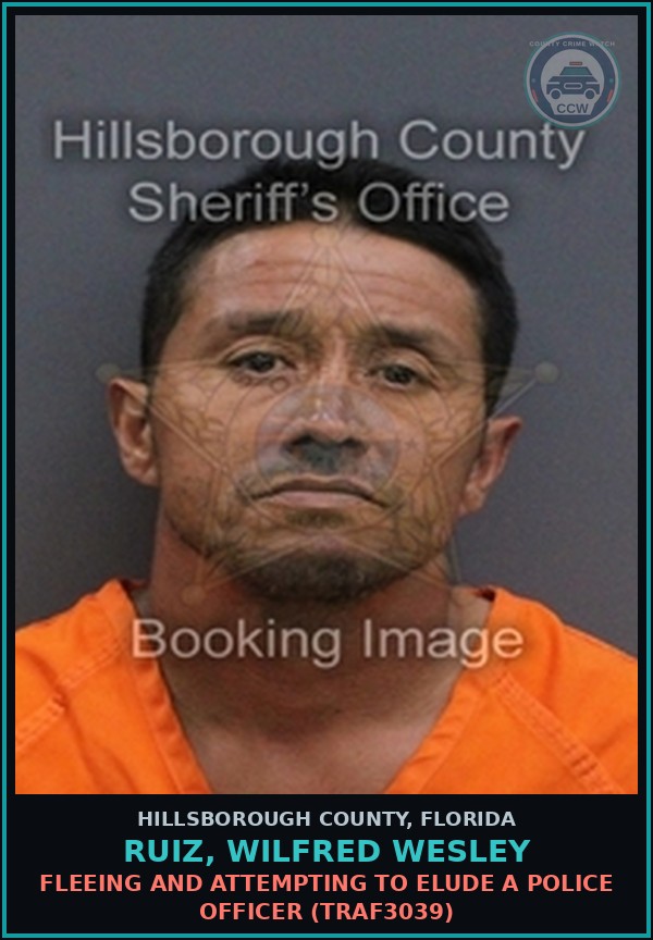 Booking mugshot of RUIZ, WILFRED WESLEY in Hillsborough County