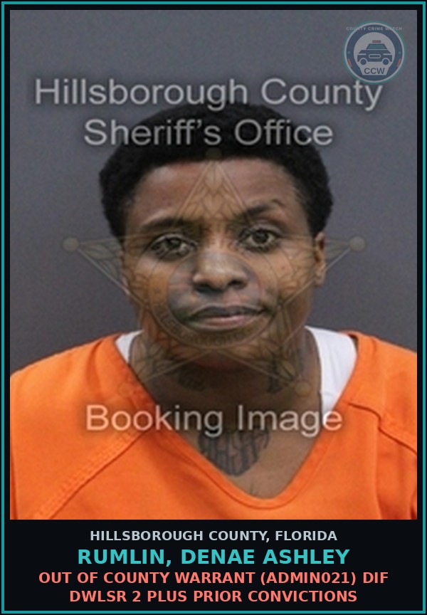 Booking mugshot of RUMLIN, DENAE ASHLEY in Hillsborough County