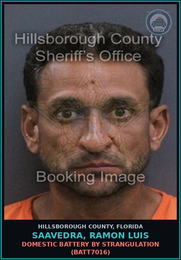 Booking mugshot of SAAVEDRA, RAMON LUIS in Hillsborough County