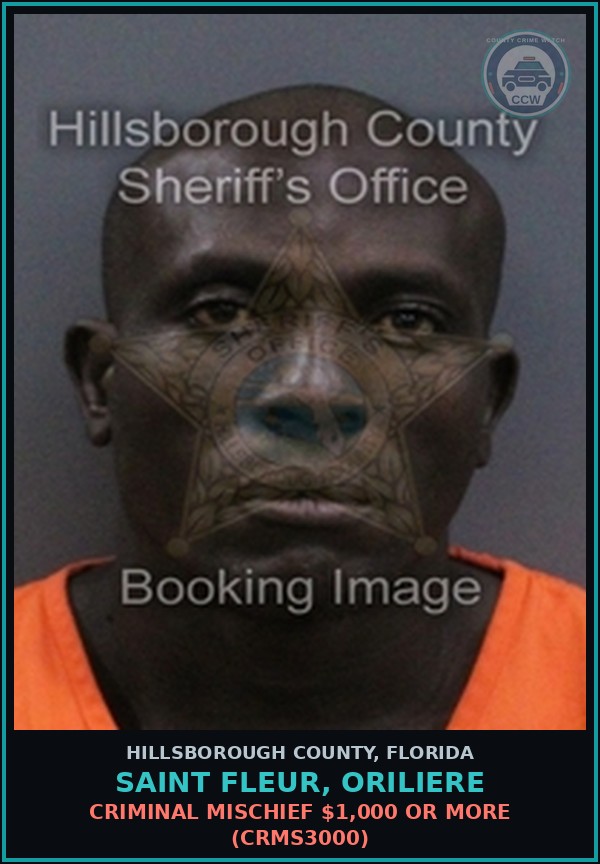 Booking mugshot of SAINT FLEUR, ORILIERE in Hillsborough County