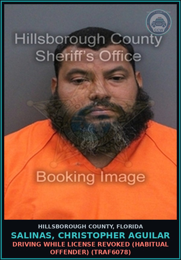 Booking mugshot of SALINAS, CHRISTOPHER AGUILAR in Hillsborough County