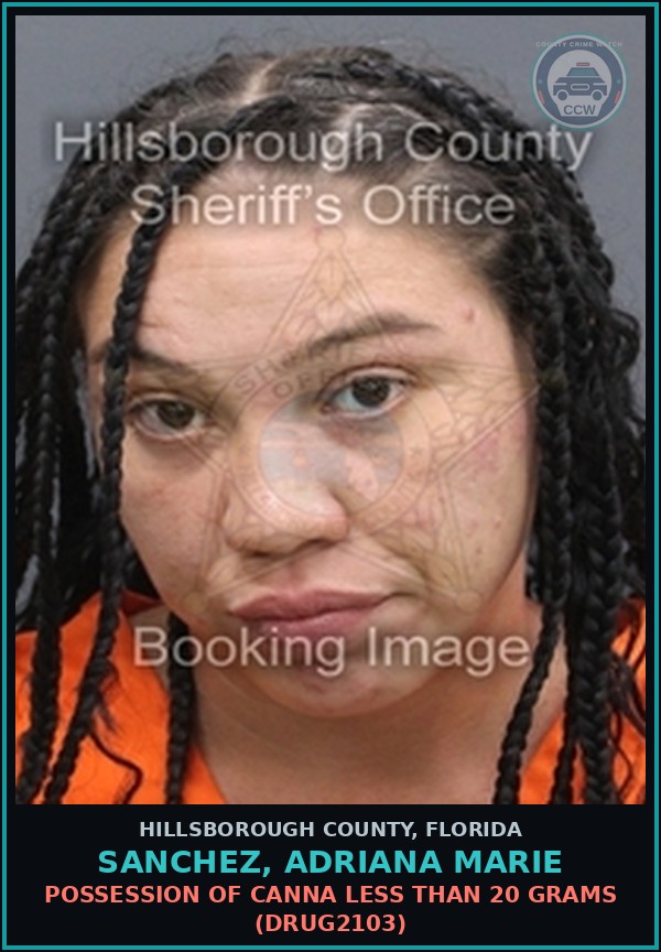 Booking mugshot of SANCHEZ, ADRIANA MARIE in Hillsborough County