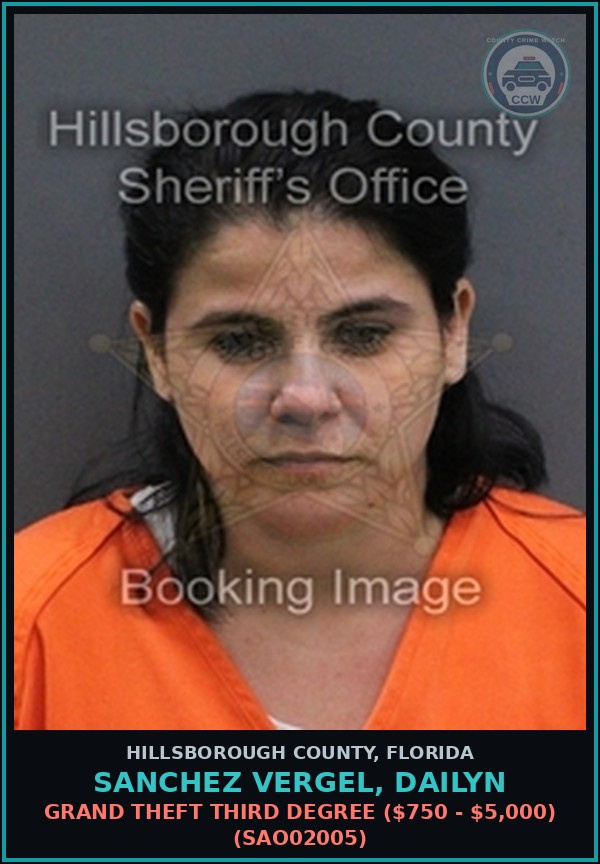 Booking mugshot of SANCHEZ VERGEL, DAILYN in Hillsborough County