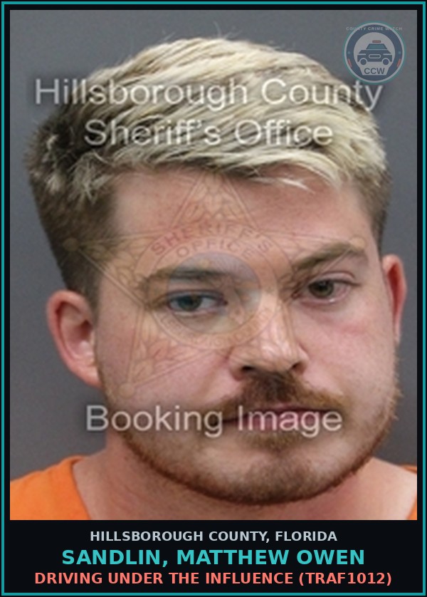 Booking mugshot of SANDLIN, MATTHEW OWEN in Hillsborough County