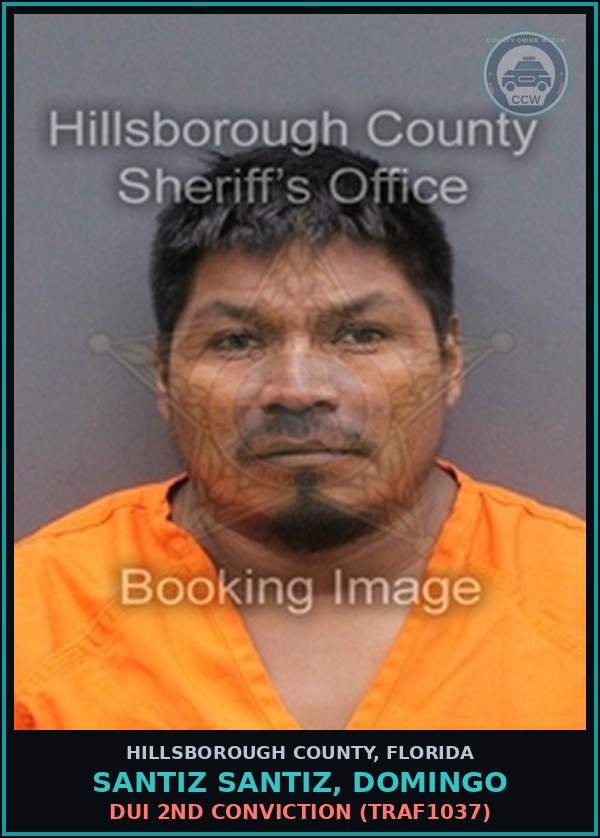 Booking mugshot of SANTIZ SANTIZ, DOMINGO in Hillsborough County
