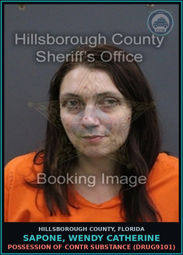 Booking mugshot of SAPONE, WENDY CATHERINE in Hillsborough County