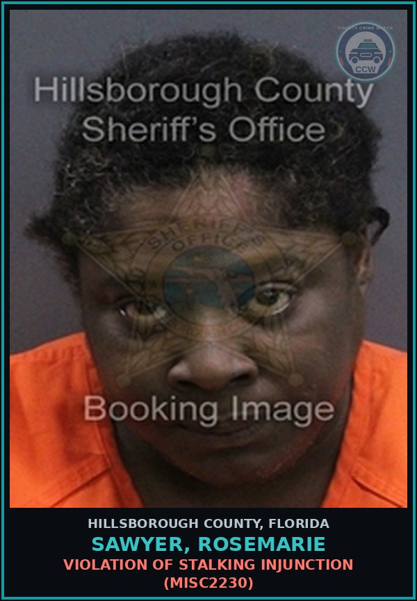 Booking mugshot of SAWYER, ROSEMARIE in Hillsborough County